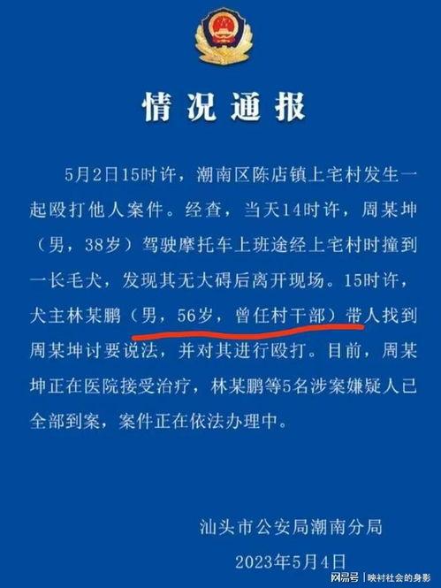 爆料被撞博主视频,视频记录惊魂一幕